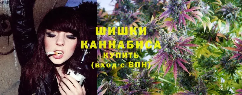 где купить наркотик  Новоузенск  МАРИХУАНА SATIVA & INDICA 